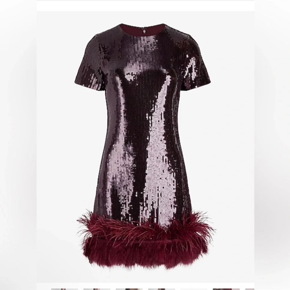 Express- Sequin feather dress - Picture 1 of 3
